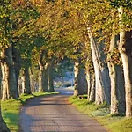 Ferienwohnung Ostseebad Binz